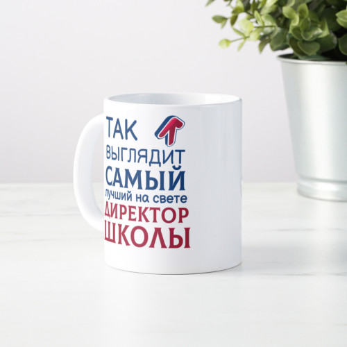 Кружка *Так выглядит самый лучший на свете директор школы*