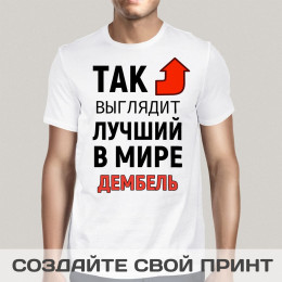 Футболка *Так выглядит лучший в мире дембель*