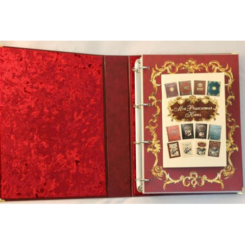 Родословная книга (стандарт)