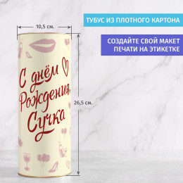 Бокал для вина в тубусе "С днём Рождения, Сучка"