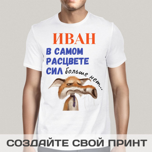 Прикольная футболка с принтом "В самом расцвете сил"
