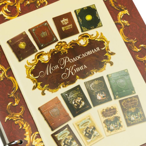 Родословная книга (кожа)