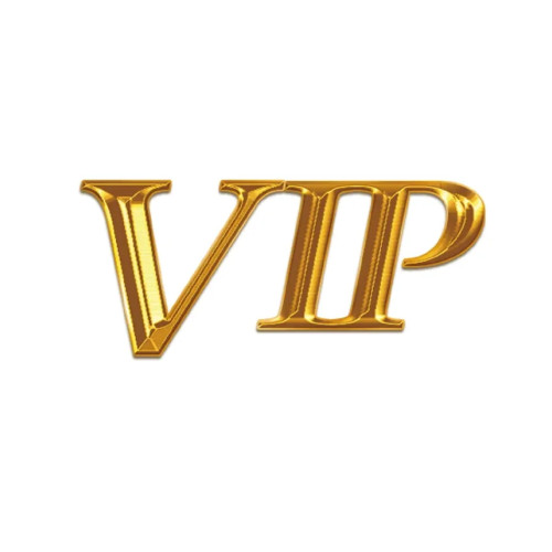 2VIP эксклюзивная ссылка клиента, индивидуальная упаковочная сумка с печатью логотипа