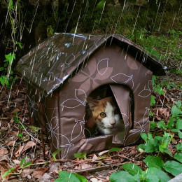 Спасательная палатка Stray Cat Dog, водонепроницаемая и теплая уличная будка для кошек, будка для маленьких и средних домашних животных, для использования в помещении и на открытом воздухе
