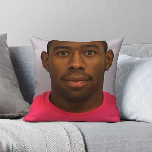 Квадратная наволочка Tyler, The Creator Mugshot, полиэстер, лен, бархат, декор на молнии с принтом, наволочка для дивана, чехол для подушки
