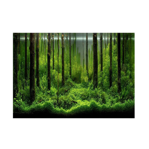 Двусторонний 3D плакат для аквариума, аквариума, морских растений, декоративная наклейка для фона, аксессуары для аквариума