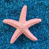 Крошечные искусственные фигурки морской звезды из смолы для украшения аквариума, имитация рыбных украшений, аквариум «сделай сам», микро-пейзажный декор