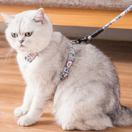 Регулируемый комплект шлейки для кошек и поводка для прогулок котят, сфинкс, ошейник для щенков, поводок, шлейки для домашних животных, устойчивые к побеге, аксессуары gatos