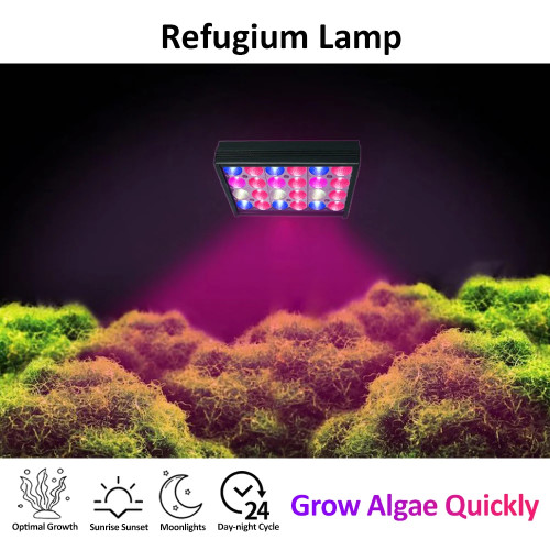 PopBloom 30 Вт Refugium Light с таймером, полный спектр водорослей, светильник для фильтра морских водорослей/притображение роста водорослей, морской аквариум