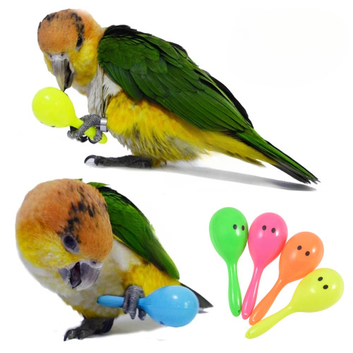 Милая погремушка с попугаем, песочный молоток, песочный мяч, укусы птиц, мудрость, интерактивные обучающие игрушки, аксессуары для домашних животных, игрушка-погремушка с попугаем и птицей