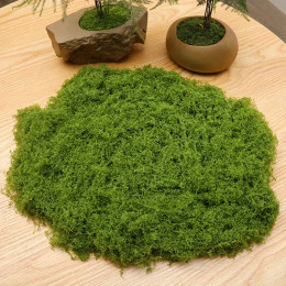 50 г искусственный мх DIY ремесла трава искусственный мх искусственный консервированный мх зеленые растения домашняя комната садовый декор мини пейзаж искусственная трава