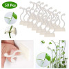 50 шт. невидимый зажим для скалолазания, настенный липкий крючок из ротанга, крепежные зажимы для лоз, приспособление, невидимые настенные зажимы для лозы, крючки, держатель