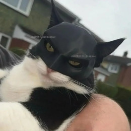 TONG Cat Bat Cool Man Mask Cat Avenger Mask Matte Cute Bat Маска супергероев Игрушки Cat Bat Pet Man Маска для кошек и собак
