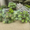24 головки, миниатюрное искусственное кактус, пластиковое реалистичное искусственное растение-суккулент, реалистичное микро ландшафтное украшение
