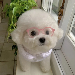 Новые солнцезащитные очки для собак Instagram, милые очки для кошек и собак, солнцезащитные очки, аксессуары, украшения, аксессуары для домашних животных на Хэллоуин