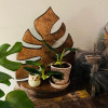 Деревянная настенная полка Monstera, фоторамка, стойка для хранения свечей, 87HA