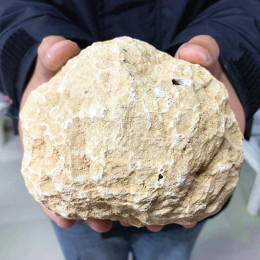 Натуральный белый стебель яиц Geode, геологический подарок для научной творческой геологии, жеодовый слой, кристаллический кластер, коллекционный грубый образец