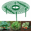 Подставка для посадки клубники, держатель для балкона, для поддержки фруктов, растений, цветов, подъема, винограда, столба, садоводства