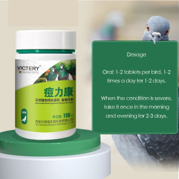 НОВЫЙ Pigeon Pox Oral Medicine For Skin Type Pigeon Pox Mucosal Type Pigeon Pox Special 100 таблеток Pigeon Racing Pigeon Special