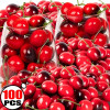 10/100x пенопластовые фрукты, имитация вишни, искусственные красные, черные фрукты вишни, модель реквизита для фотосъемки, декор для торта, искусственные фрукты, оптовая продажа