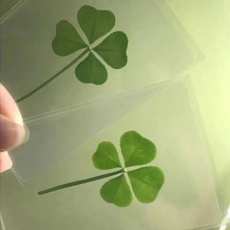1 шт., открытки Lucky Clover, натуральная трава, прозрачные открытки желаний, исцеление желаний, свежий простой ветер, прозрачный Gife Lucky Clover