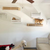 Полки и перчатки для кошек, стены, настенная полка для скалолазания с сизальными царапинами и мостиком, кровать, мебель