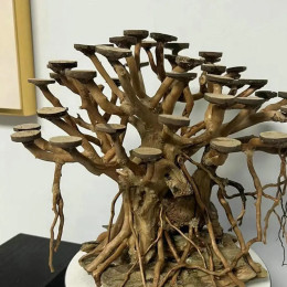 50 шт. диски из скорлупы кокоса, скорлупа для поделок, круглые скорлупы, украшения для аквариума, сделай сам, скорлупа кокосов, чип