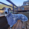 Итальянская одежда Greyhound, Осеннее/зимнее клетчатое пальто, шерстяное светоотражающее хлопковое пальто с защитой от холода, подходит для одежды для собак и домашних животных