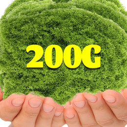 200/30 г вечная жизнь мох трава искусственные зеленые растения мини пейзаж искусственная трава сад гостиная украшения дома DIY ремесла