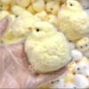 Желтый большой куриный плюшевый силиконовый мягкий зажим ручной работы, милые курицы, сжимающая игрушка Taba, нечеткая игрушка для снятия стресса рук