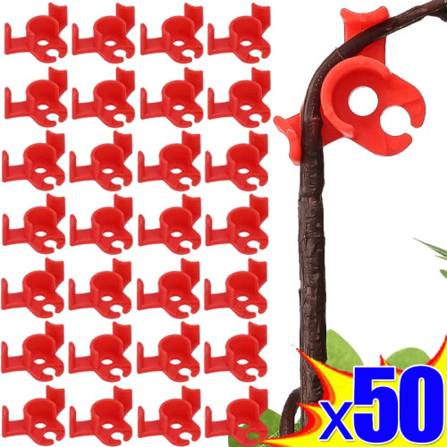 50/10 шт. пластиковая опора для растений, рамка для теплицы, комнатный кронштейн для цветочных растений, гибдер для растений, тренировочные зажимы, садовые аксессуары