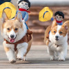 DualPet Одежда для собак для косплея на Хэллоуин аксессуары для собак