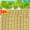 500/50 шт., губка для посадки, стартовые пробки из камня, гидропонные кубики для выращивания, домашняя теплица, садовые аксессуары, блок для рассады