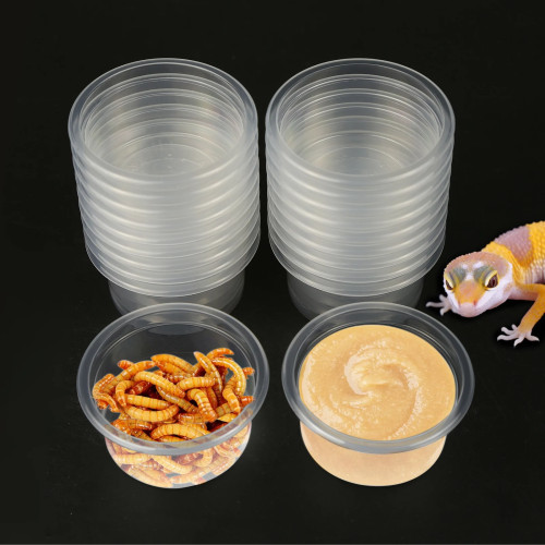 20 шт., пластиковая чашка для кормления и воды Gecko, сменная чаша для кормления рептилий, подходит для ящериц и других маленьких домашних животных