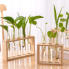 3/5 трубок, настенная стеклянная ваза для размножения гидропонных растений с деревянной подставкой, настольная для домашнего офиса, кашпо Garde Decor