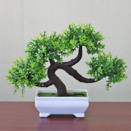 Имитация горшечного дракона, усы, дерево, бонсай, зеленое растение для офиса, украшение рабочего стола, цветы в горшках, домашнее креативное украшение