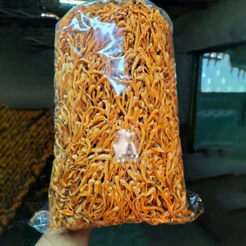 Чистый 100% натуральный сушеный цветок кордицепса Yun Nan для красоты, здоровья, мыло, свадебные свечи, декоративные духи «сделай сам», изготовление материалов