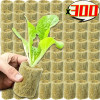 300/10 шт., кубики из каменной шерсти, губка для посадки камня, пробка для выращивания рассады, гидропонный беспочвенный субстрат, блок с семенами для домашнего балкона