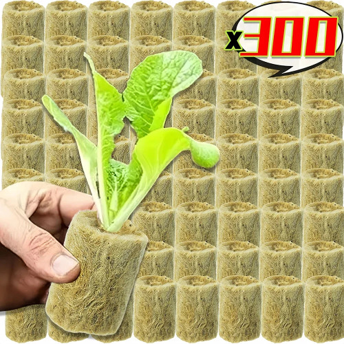 300/10 шт., кубики из каменной шерсти, губка для посадки камня, пробка для выращивания рассады, гидропонный беспочвенный субстрат, блок с семенами для домашнего балкона