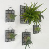 Черная утолщенная доска для папоротника Staghorn, орхидея, папоротник, Dendrobium, доска для посадки растений, доска для кровати, пластиковая садовая подвесная доска