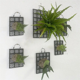 Черная утолщенная доска для папоротника Staghorn, орхидея, папоротник, Dendrobium, доска для посадки растений, доска для кровати, пластиковая садовая подвесная доска