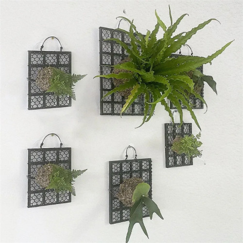 Черная утолщенная доска для папоротника Staghorn, орхидея, папоротник, Dendrobium, доска для посадки растений, доска для кровати, пластиковая садовая подвесная доска