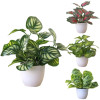 1 шт. искусственный бонсай цветок листва растение в горшке дома гостиная сад офис ресторан настольный бонсай украшение дома