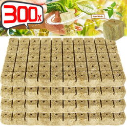 300/50 шт., каменная вата, гидропонная среда для выращивания, куб, садовый блок для рассады, культивация воды, посевание семян, культура проращивания, субстрат