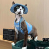 Модная кошачья шляпа, летние солнцезащитные шляпы для котят сфинкса, синие ковбойские шляпы с открытыми ушками, регулируемый шнур для кепки для кошек Devon Rex, принадлежности