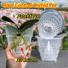 Meshpot украшение дома прозрачные горшки для орхидей с отверстиями Cattleya Dendrobium горшок для орхидей Cachepot в 10 см 12 см 15 см
