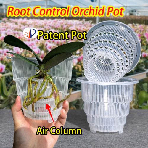 Meshpot украшение дома прозрачные горшки для орхидей с отверстиями Cattleya Dendrobium горшок для орхидей Cachepot в 10 см 12 см 15 см