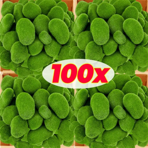 5/100 шт., имитация камня из мха, искусственный мх, камни, шар, искусственное зеленое растение для поделок своими руками, сказочный сад, пейзаж, украшения для горшков