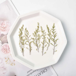 Прессованные Artemisia annua, настоящие листья, сухие цветы, сделай сам, фоторамка, книги для фотографий с растениями, декоративная живопись, эпоксидные принадлежности, 12 шт., 7-10 см