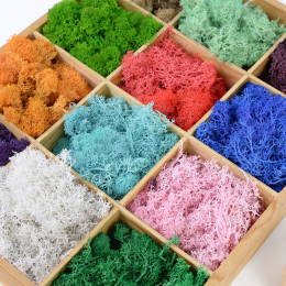 20/40g искусственное растение вечной жизни стены DIY полива растений мох Материал светодиодные фонари для дома и сада микро-Декорации для ландшафтного дизайна аксессуары 75